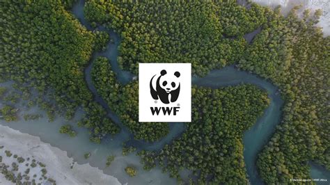 panda charity logo|WWF Brand – WWF Brand Guidelines.